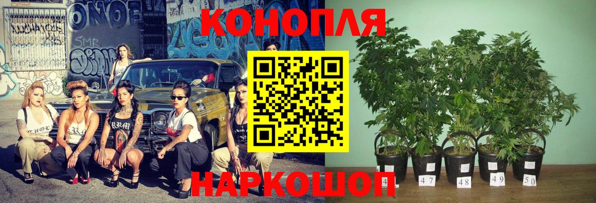 Конопля индика Острогожск